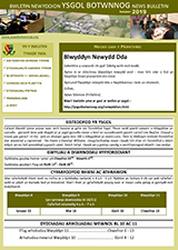 Bwletin Ionawr 2019
